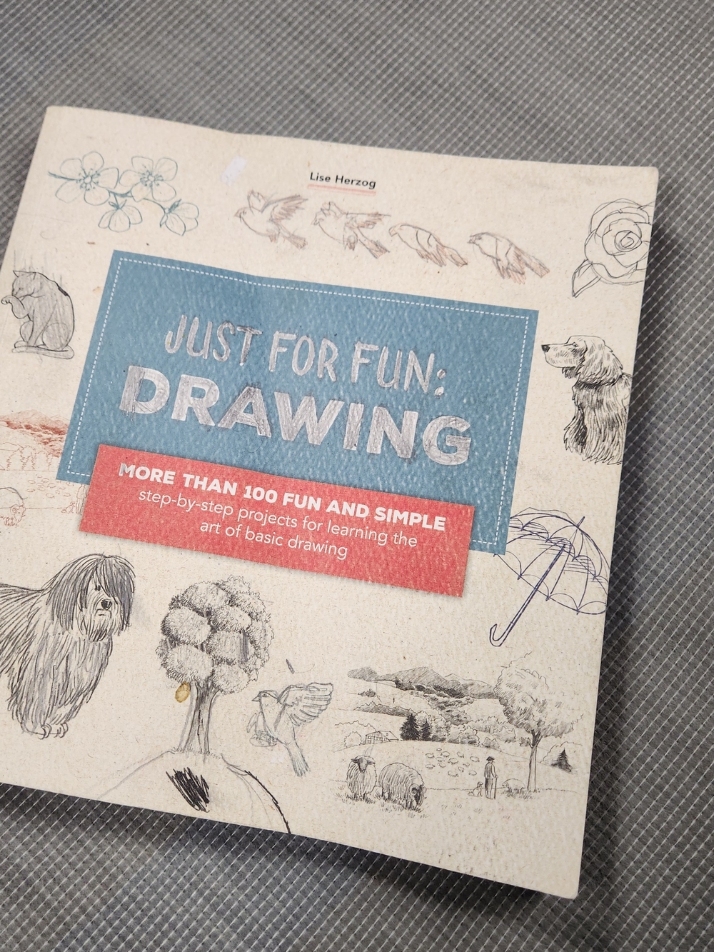 Just For Fun Drawing Lise Herzog Art Book 100+ Step By Step Projects Beginners